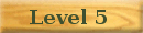 level 5 button